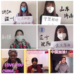 视频拼图